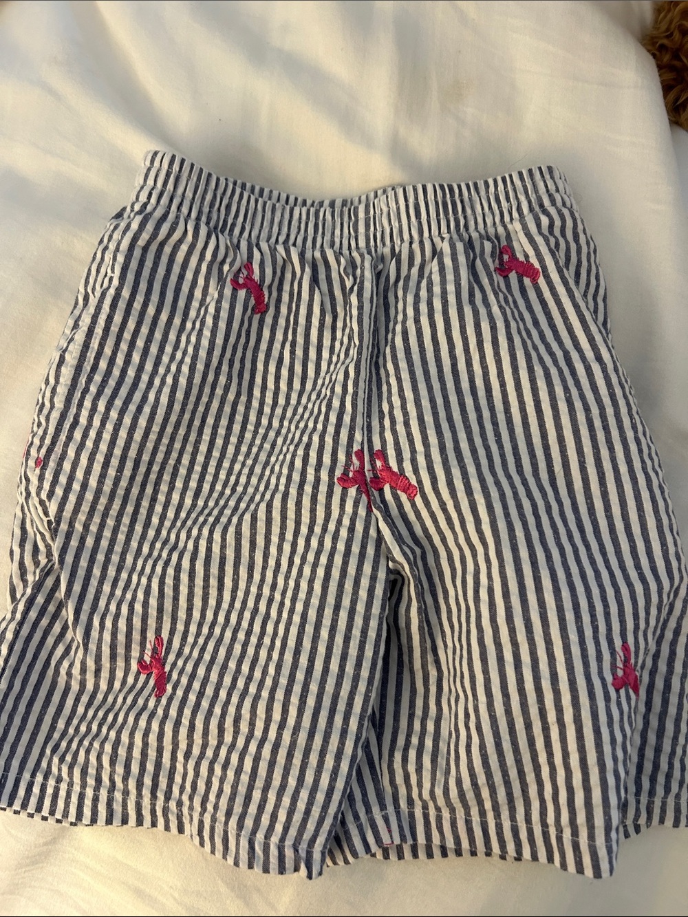 Kelly's Kids Seersucker Shorts with Pink lobster Embroidery